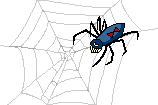 animiertes-spinne-bild-0157