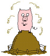 animiertes-schwein-bild-0052