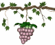 animiertes-essen-trinken-bild-0360