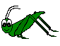 animiertes-insekten-bild-0008