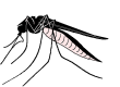 animiertes-insekten-bild-0029