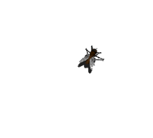 animiertes-insekten-bild-0048