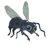 animiertes-insekten-bild-0053