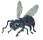 animiertes-insekten-bild-0162