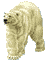 animiertes-eisbaer-bild-0001