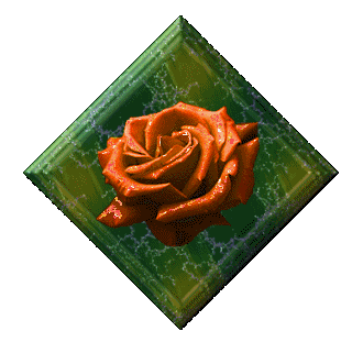 animiertes-rose-bild-0018