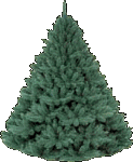 animiertes-weihnachtsbaum-bild-0295
