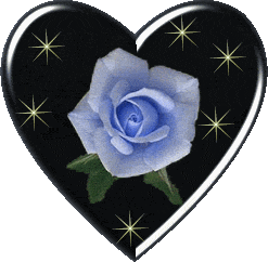 Valentines Day Gif Valentinstag Lustig / Index Of Bilder Valentinstag / With tenor, maker of gif keyboard, add popular valentines day animated gifs to your conversations.