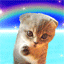animiertes-tier-avatar-bild-0118