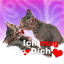 animiertes-tier-avatar-bild-0120