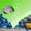 animiertes-tier-avatar-bild-0369