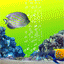 animiertes-tier-avatar-bild-0374