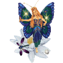 animiertes-fee-bild-0034