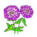 animiertes-blumen-bild-0012