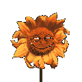 animiertes-blumen-bild-0028