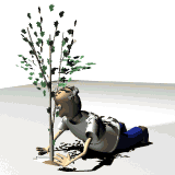 Dateianhang: