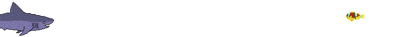 animiertes-hai-bild-0033