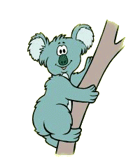 animiertes-koala-koalabaer-bild-0021