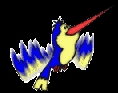 animiertes-kolibri-bild-0027