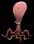 animiertes-octopus-kraken-bild-0033