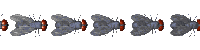 animiertes-linie-bild-0270