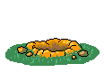 animiertes-murmeltier-bild-0016