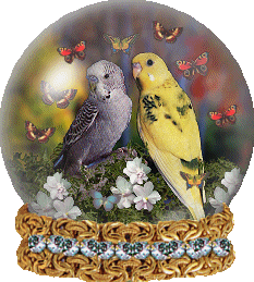 animiertes-papagei-bild-0126