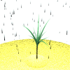 animiertes-pflanze-bild-0041