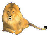 animiertes-raubtier-raubkatze-bild-0022
