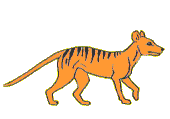 animiertes-raubtier-raubkatze-bild-0045