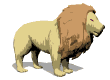 animiertes-raubtier-raubkatze-bild-0121