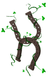 animiertes-saint-patricks-day-bild-0034