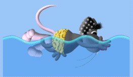 animiertes-schwimmen-bild-0088