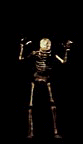 animiertes-skelett-bild-0019