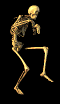 animiertes-skelett-bild-0053