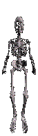 animiertes-skelett-bild-0087