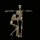 animiertes-skelett-bild-0104