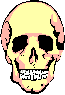 animiertes-totenkopf-totenschaedel-bild-0045