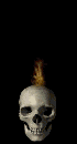 animiertes-totenkopf-totenschaedel-bild-0067