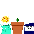 animiertes-garten-bild-0041