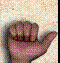 animiertes-hand-bild-0015