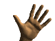 animiertes-hand-bild-0120