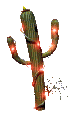 animiertes-kaktus-bild-0010