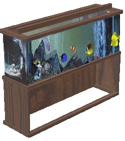 animiertes-aquarium-bild-0001