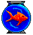 animiertes-aquarium-bild-0004