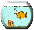 animiertes-aquarium-bild-0013