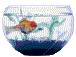 animiertes-aquarium-bild-0022
