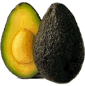 animiertes-avocado-bild-0010