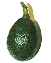 animiertes-avocado-bild-0015