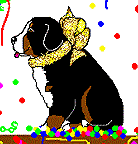 animiertes-berner-sennenhund-bild-0029